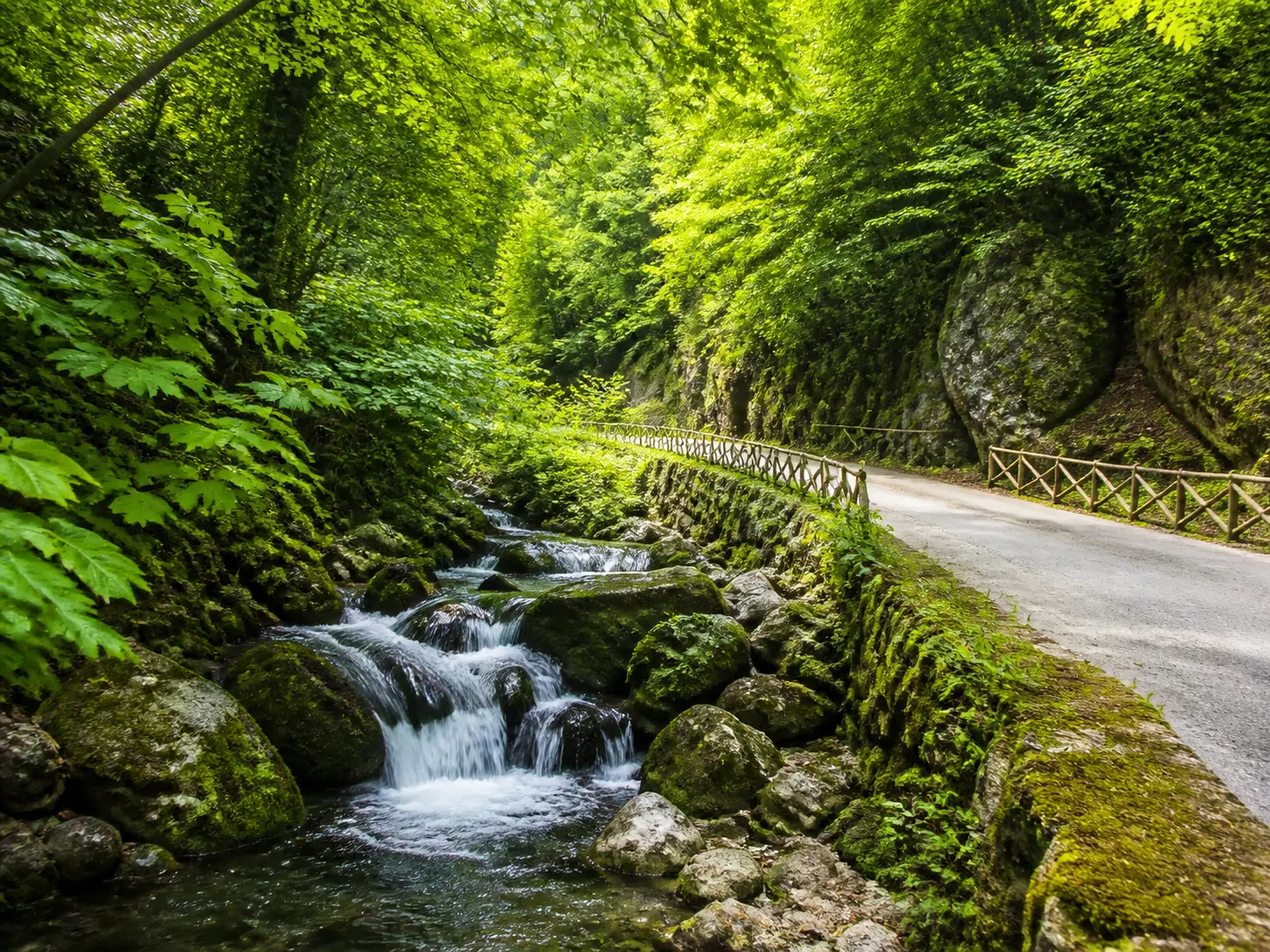 Maşukiye doğa rotası